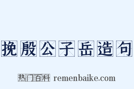 挽殷公子岳造句是什么意思的图片